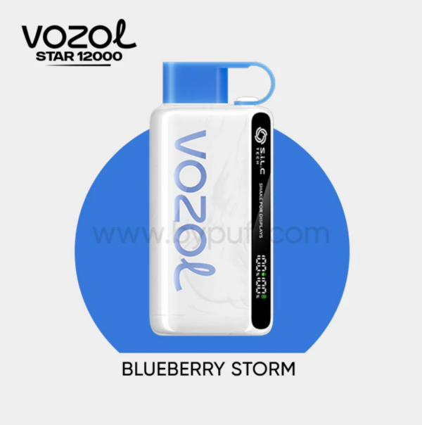 Vozol Star 12000 Blueberry Storm