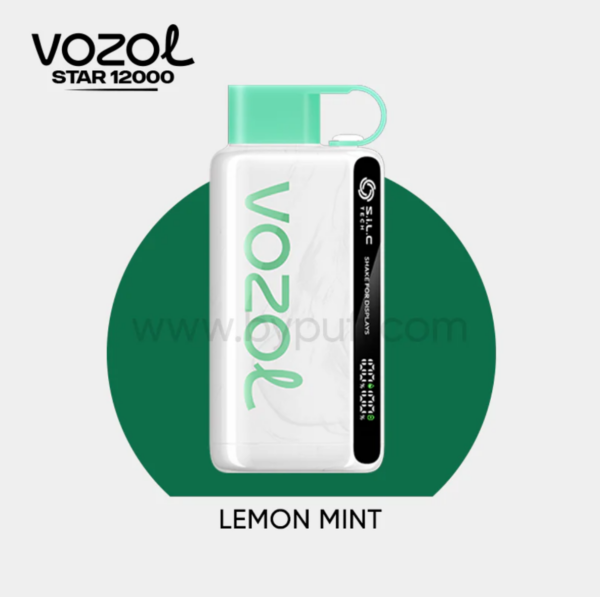 Vozol Star 12000 Lemon Mint