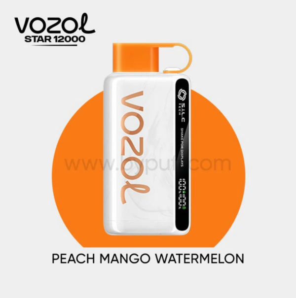 Vozol Star 12000 Peach Mango Watermelon