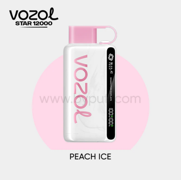 Vozol Star 12000 Peach ice