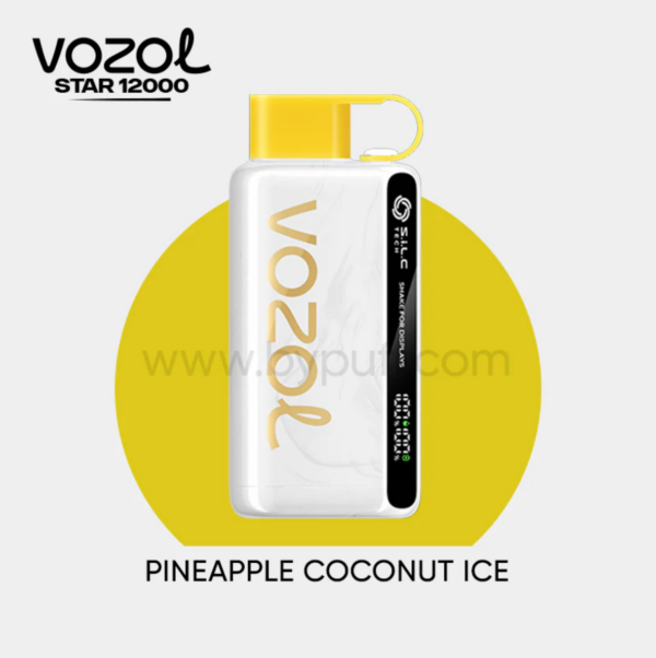 Vozol Star 12000 Pineapple Coconut ice