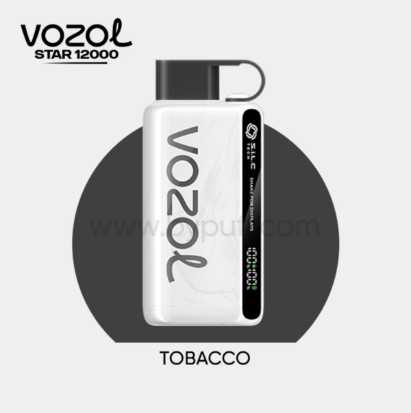 Vozol Star 12000 Tobacco