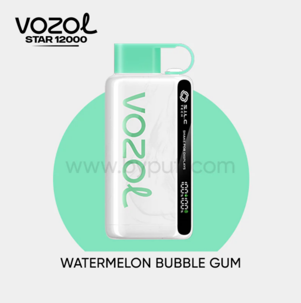 Vozol 12000 Watermelon Bubble Gum