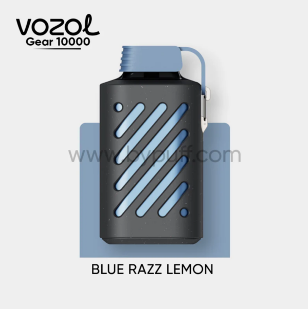 Vozol Gear 10000 Blue Razz