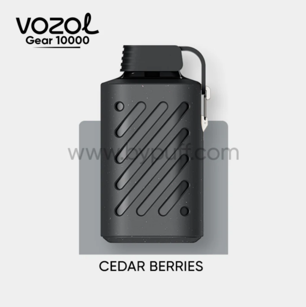 Vozol Gear 10000 Cedar Berries