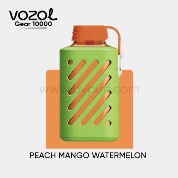 Vozol Gear 10000 Peach Mango Watermelon