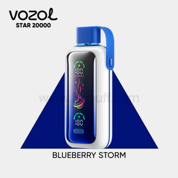 Vozol Star 20000 Blueberry Storm