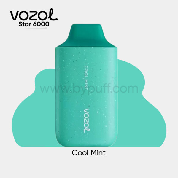 Vozol Star 6000 Cool Mint